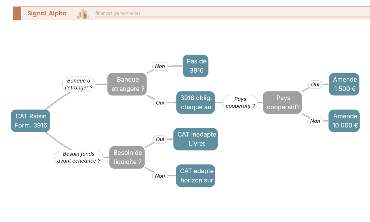 Arbre de decision a questions oui/non determinant si un CAT Raisin declenche l'obligation declarative 3916 et le plafond d'amende applicable.