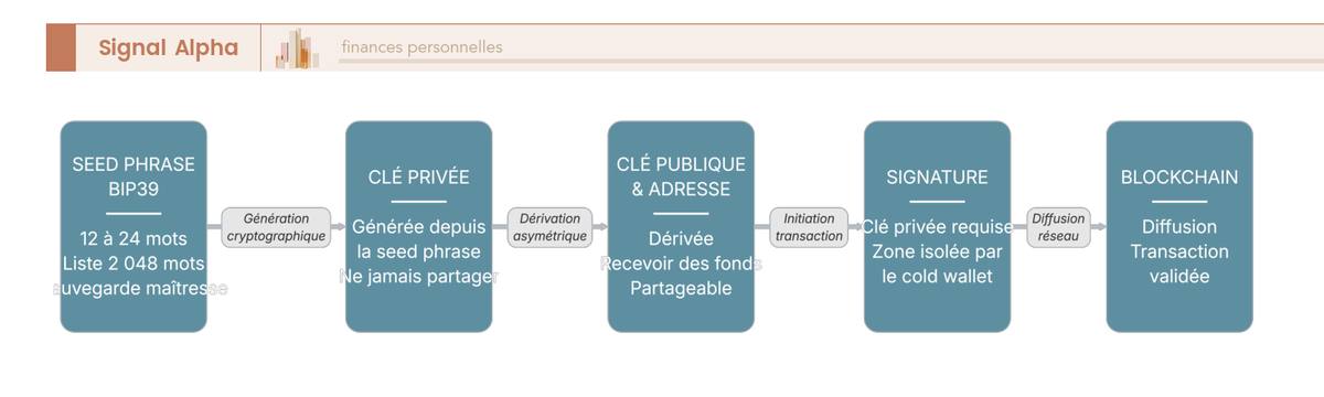 Diagramme de flux en 5 étapes du parcours de la clé privée, de la seed phrase BIP39 à la diffusion de la transaction sur la blockchain.