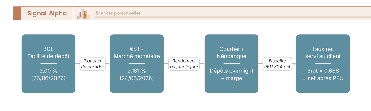 Diagramme de flux en 4 étapes : BCE fixe le taux directeur, €STR s'aligne, courtier prélève sa marge, taux net servi au client.