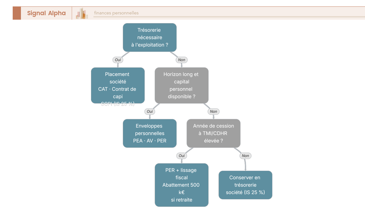 Arbre de décision pour dirigeant comparant le placement de la trésorerie au niveau de la société ou en personnel selon l'usage et l'horizon.