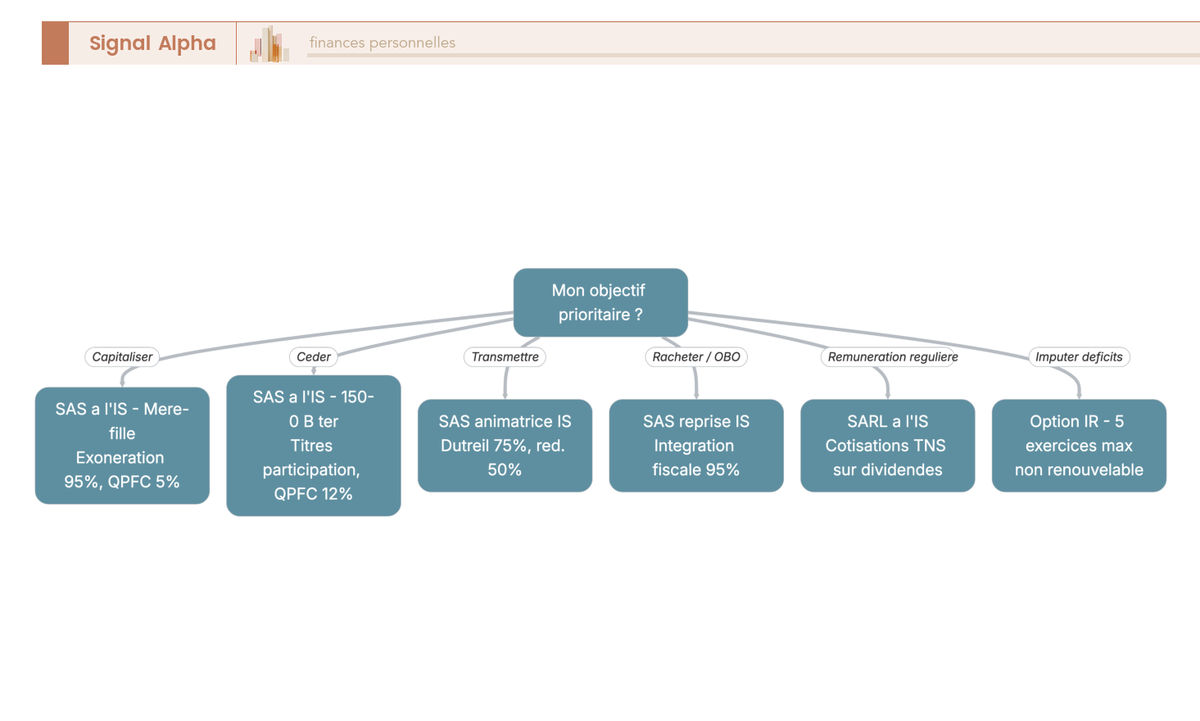 Arbre de décision de synthèse croisant l'objectif du dirigeant (capitaliser, céder, transmettre) et le mode de rémunération pour recommander une forme et un régime de holding, orienté de la gauche vers la droite.