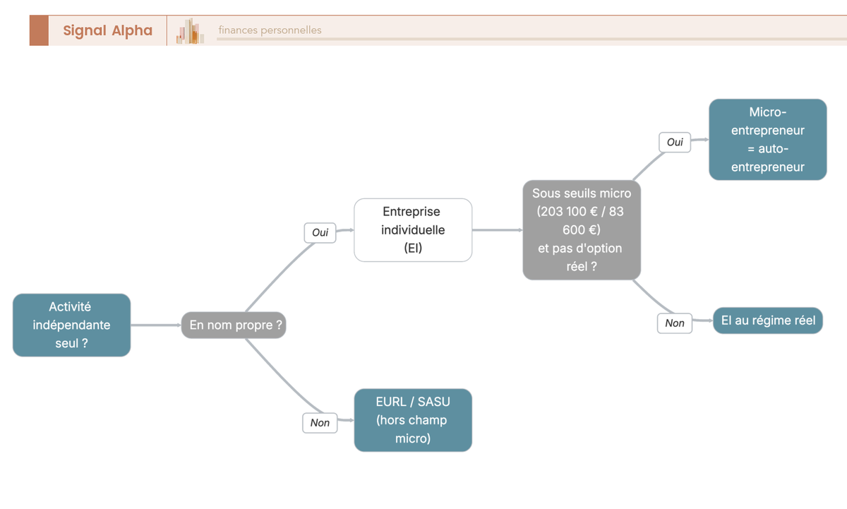 Arbre de decision guidant vers l'appellation auto-entrepreneur, micro-entreprise ou societe selon la situation.