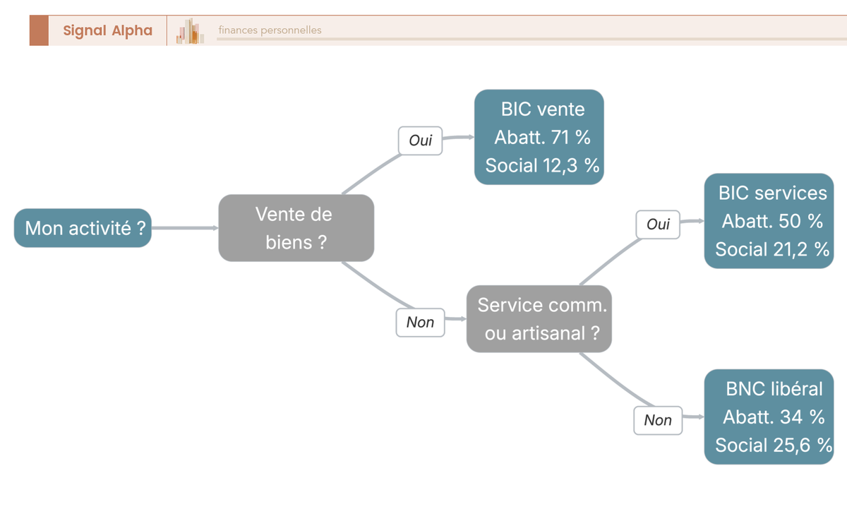 Arbre de decision pour classer son activite en BIC vente, BIC services ou BNC avec abattement et taux social.