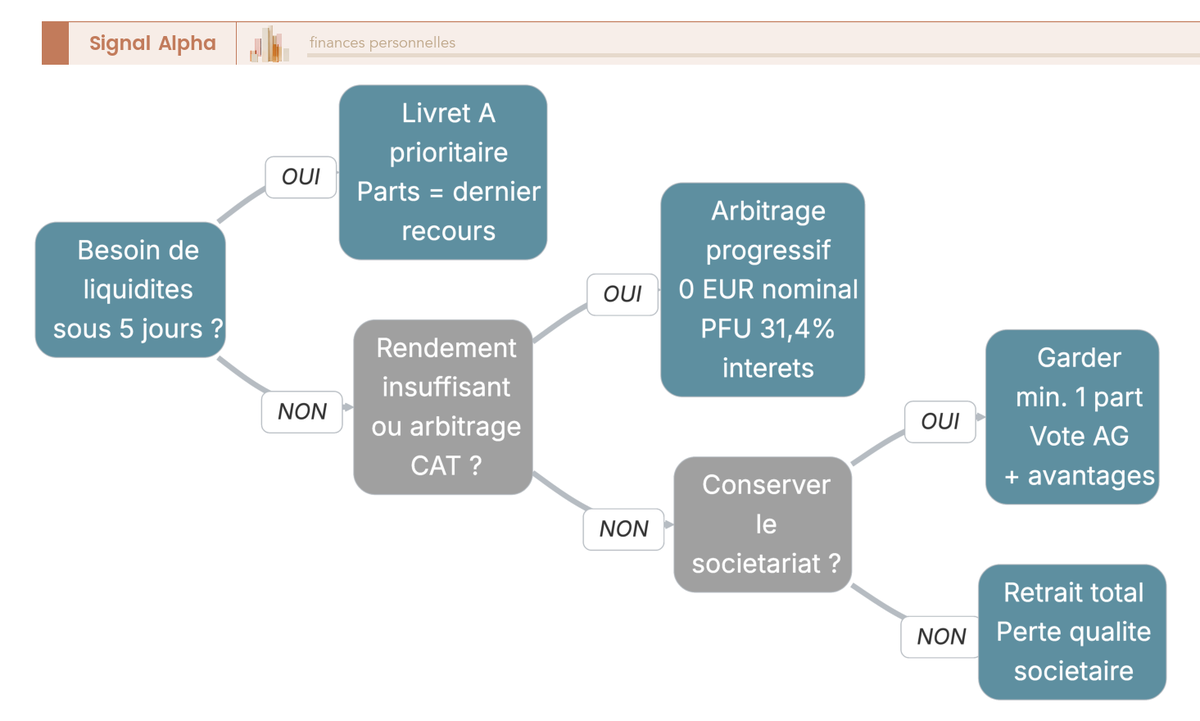 Arbre de décision en 3 branches pour décider de récupérer ou conserver ses parts sociales Caisse d'Épargne selon liquidité, rendement et sociétariat.