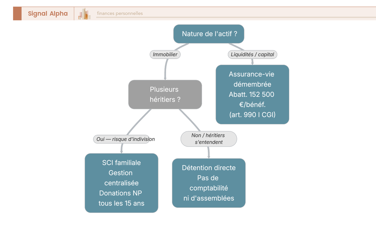 Arbre de décision orientant vers détention directe, SCI familiale ou assurance-vie démembrée selon nombre d'héritiers, indivision et nature de l'actif.